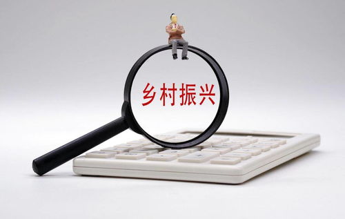 打通金融“最后一公里”，以多元服務賦能鄉村振興